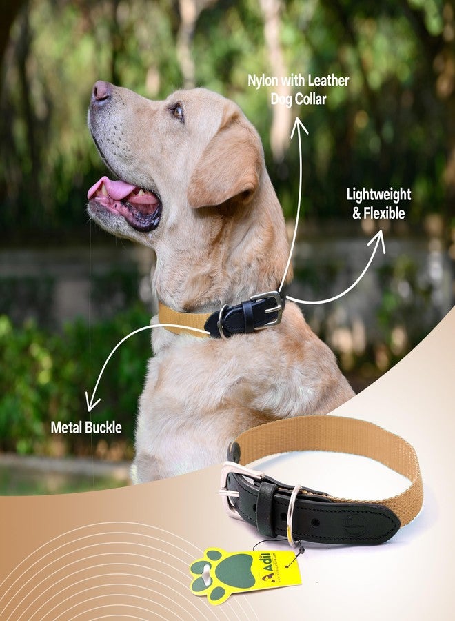 ADIL'S Adil’S Dog Collar for All Sized Dog Adjustable Nylon with Leather Dog Collars 25mm, Metal-Buckle with D-Ring, Colour: Beige :Size,S - Image 3